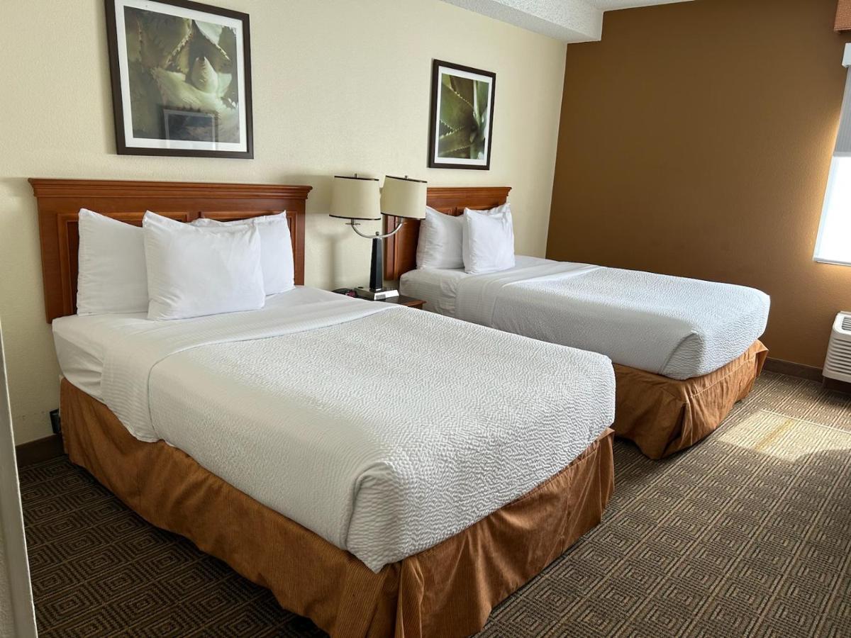 La Quinta By Wyndham Orlando South Ξενοδοχείο Williamsburg Εξωτερικό φωτογραφία