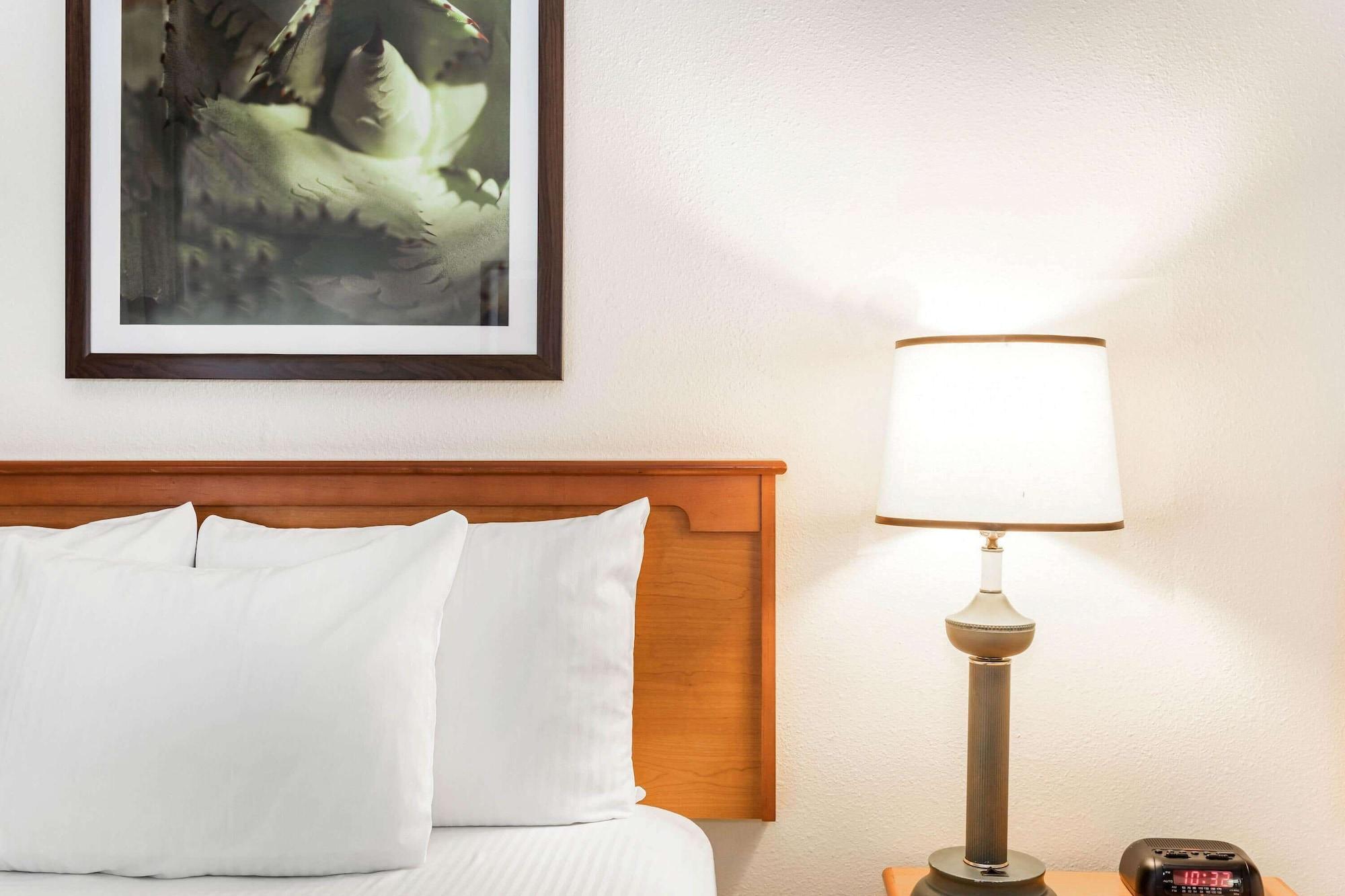 La Quinta By Wyndham Orlando South Ξενοδοχείο Williamsburg Εξωτερικό φωτογραφία